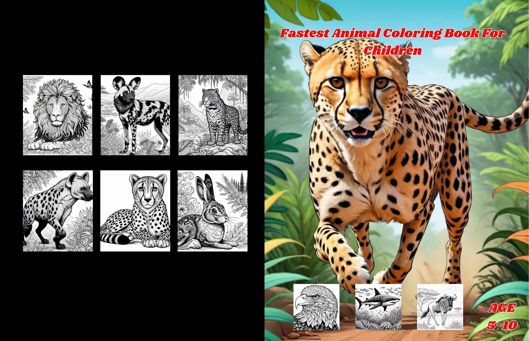 Colouring Book